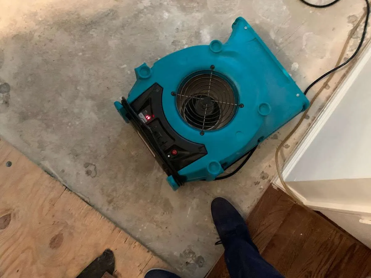 Air mover drying subfloor during Leak Detection & Repair in Newton